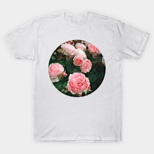 Dark Rose T-Shirt